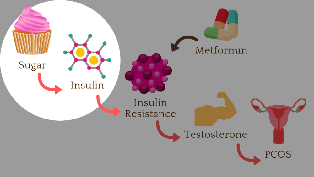 Metformin For PCOS