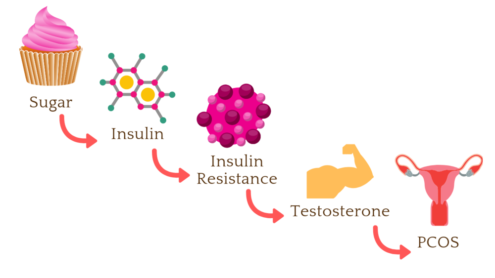 Metformin For PCOS